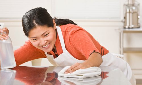 best-maid-agencies-singapore best-maid-agencies-singapore