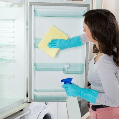 cleaning-fridge cleaning-fridge